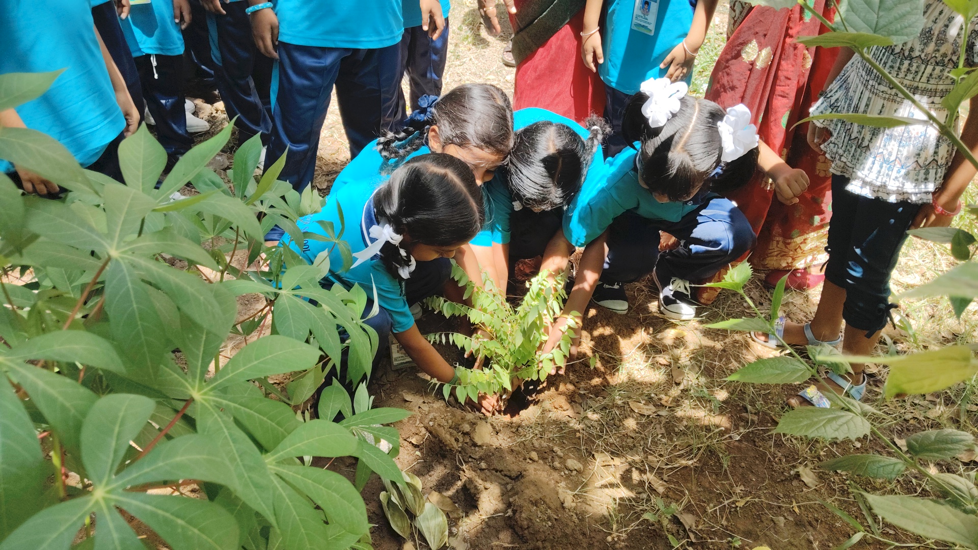 World Environment day (05/06/26)